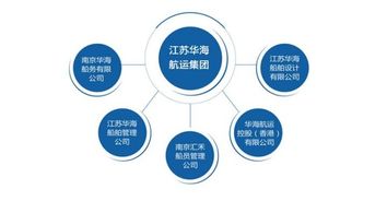 上市公司组织结构图查询指南 高效获取技术架构信息的渠道与方法