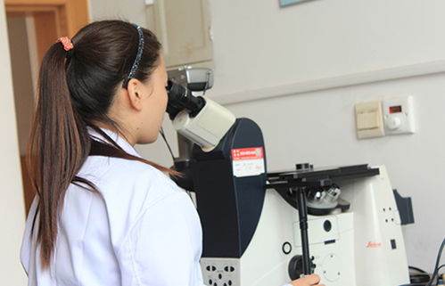 研究开发与技术咨询 协同驱动创新与商业价值